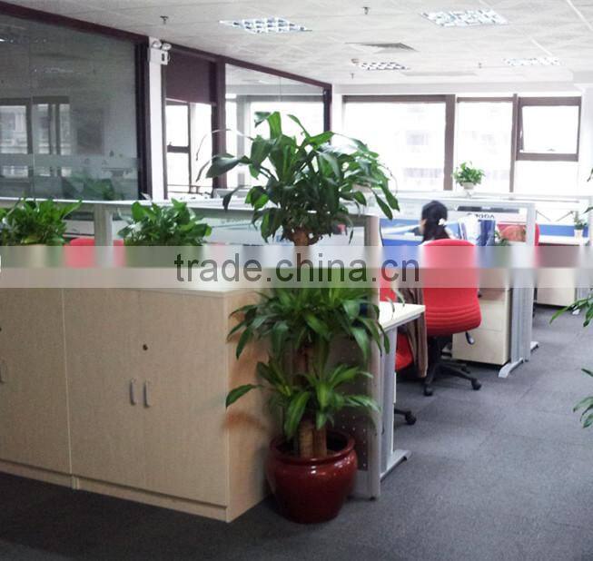 Fuzhou Golden Moral Imp & Exp Co., Ltd. company overview - view 1