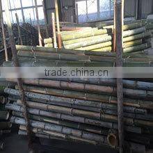 Xiamen Lvjie International Trade Co., Ltd. company overview - view 2