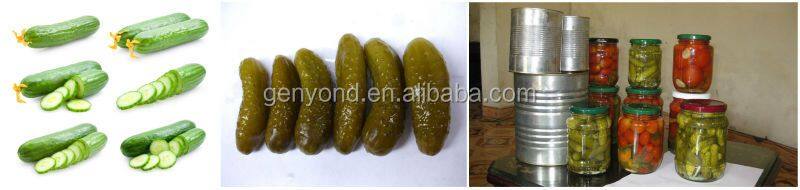 China Pickled Cucumber Production Line/processing Machine/equipment