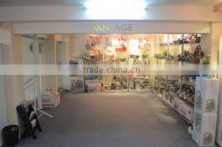 Jiangmen Vantage Imp. And Exp. Company Limited company overview - view 2