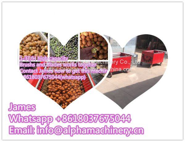 walnut peeling machine