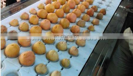 apricot pitting and half cutting machine