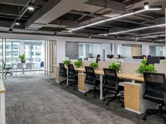 Shenzhen DingXin Intelligent Automation Equipment Co.,LTD company overview - view 3