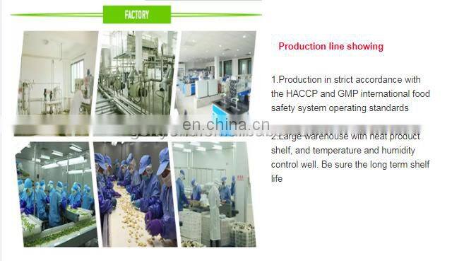 High capacity 100m2 vegetable /flower lyophilizer