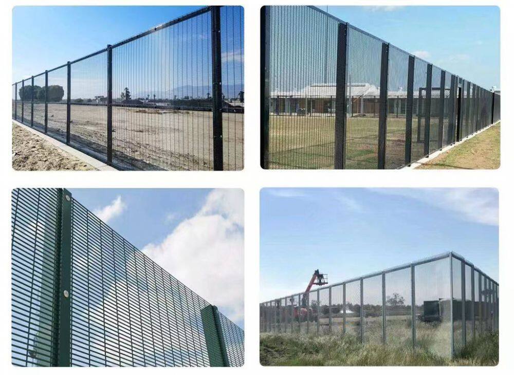 微信图片_2026020614495824