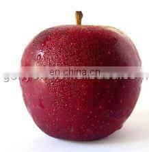 Automatic apple pear peeler corer slicer/stainless pear peeler/peeling machine in Fruit & Vegetable Processing Machines