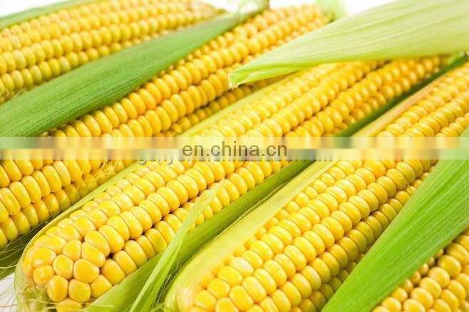 Sweet corn maize threshing peeling shelling machine corn kernel removing machine