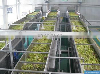 Clear and cloudy apple juice production process machines equipment