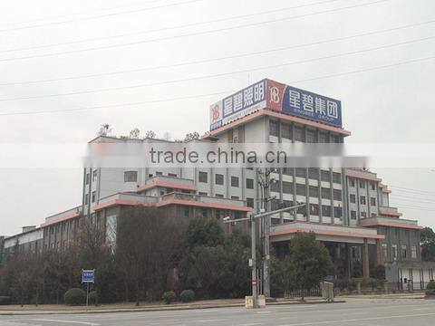 Zhejiang Singbee Lighting Technology Co., Ltd. company overview - view 1