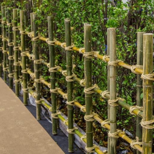 can you use bamboo as a fence (3)