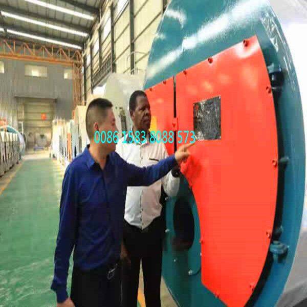 Africa Customer Visited Our Factory For Boiler Inspection