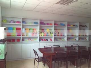 Shenzhen Horizon Source Silicone Inc. company overview - view 1