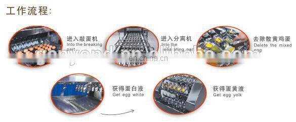 Factory Genyond Pasteurized egg liquid breaking/egg white separating/egg yolk separator separation equipment machine