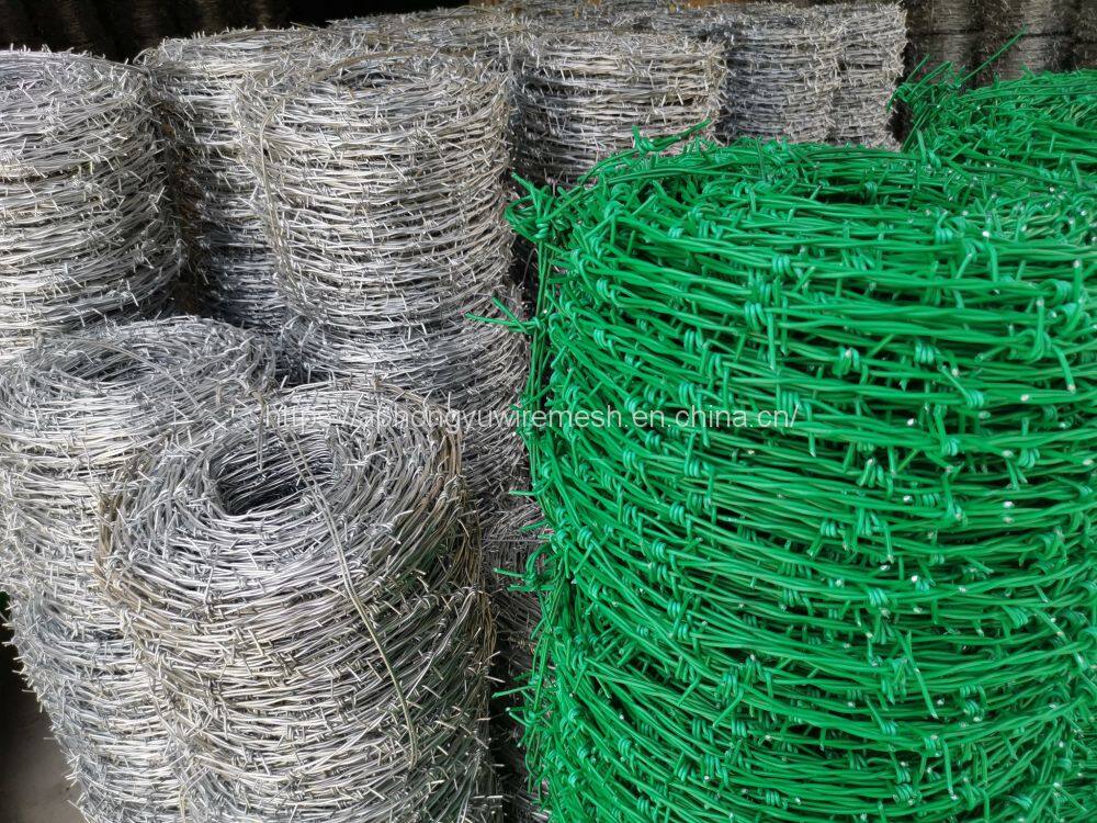 285198472_537362531390918_45917554749061773_n