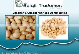 Shri Balaji Trademart (india) Private Limited company overview - view 1