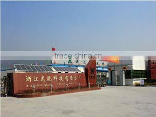 Zhejiang Long Chi Technology Limited Company company overview - view 2