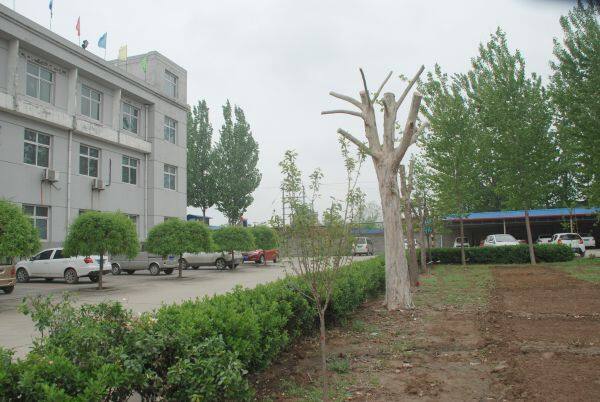 Shjiazhuang HongXing Textile Co.LTD company overview - view 2