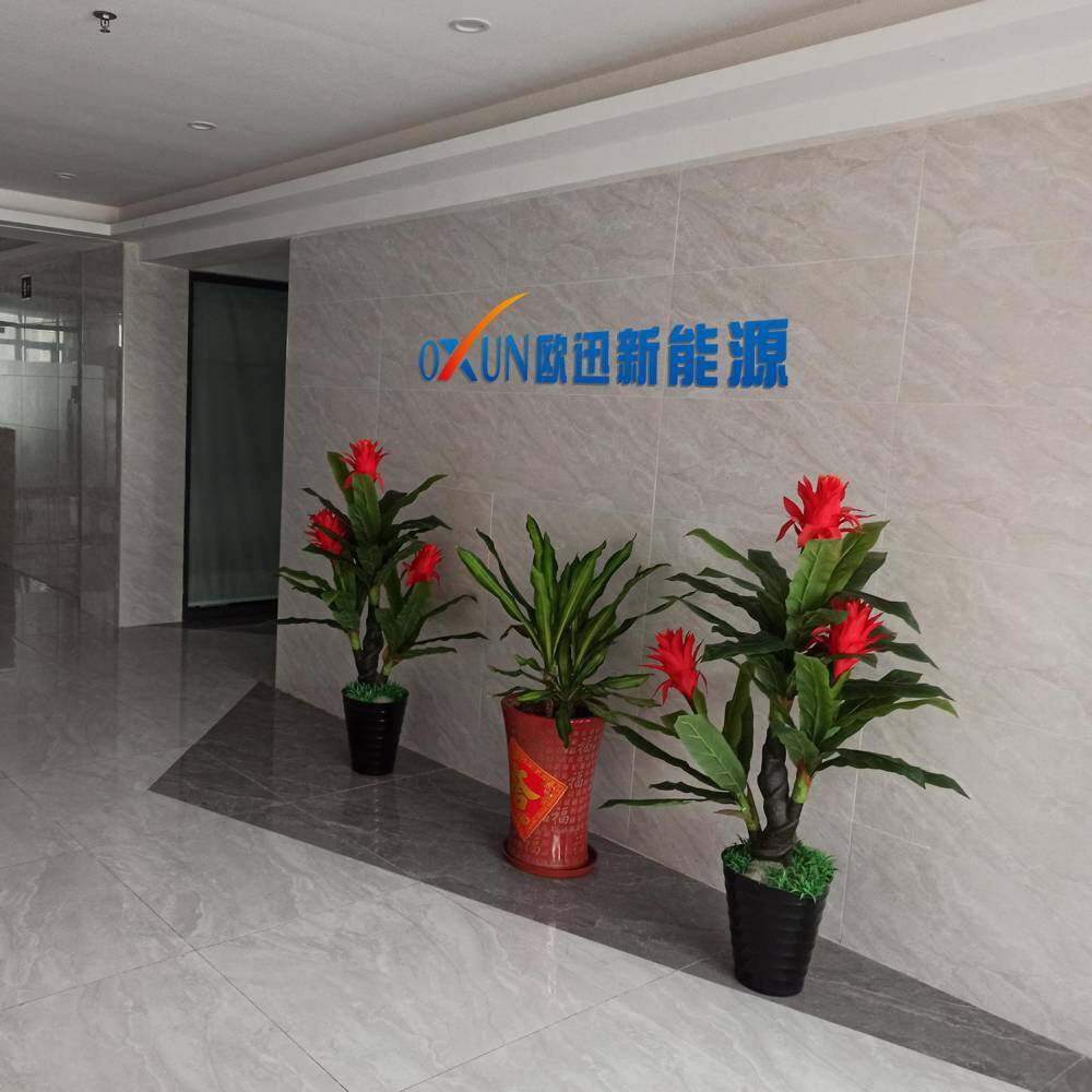 Shenzhen Ouxun New Energy Technology Co., Ltd. company overview - view 1