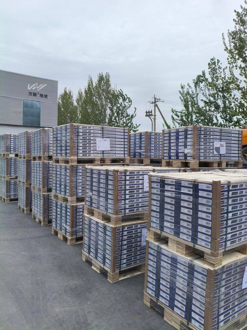 木地板成品实拍