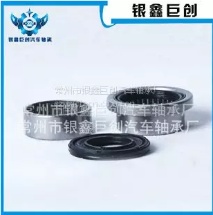Changzhou Yinxin Juchuang Automobile Bearing Factory company overview - view 3