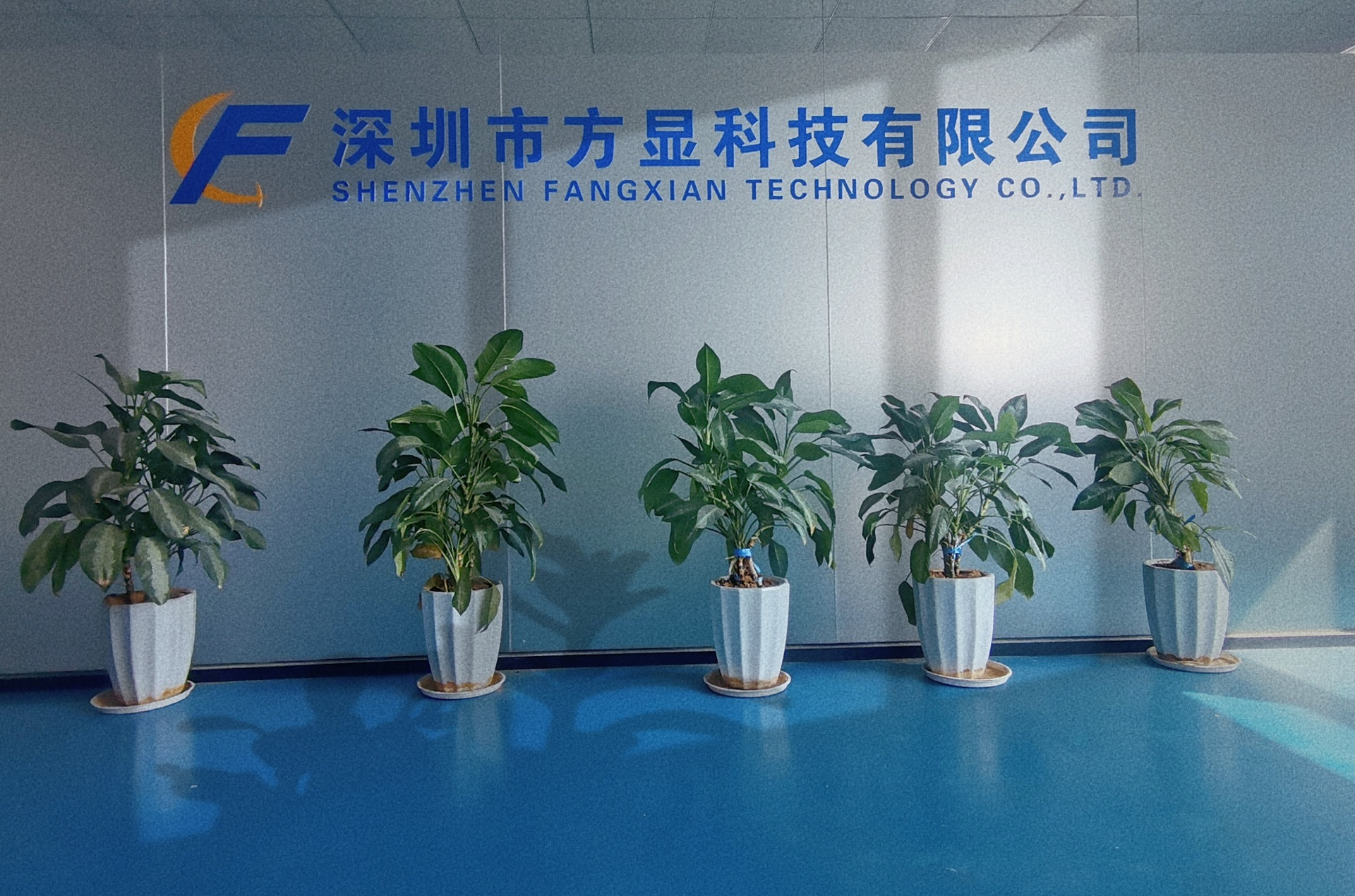 Shenzhen Fangxian Technology Co.,ltd company overview - view 1