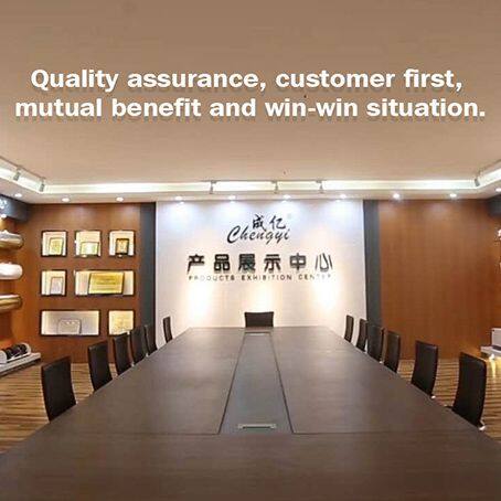 Guangzhou Chengyi Electrical Appliance Co., Ltd. company overview - view 1