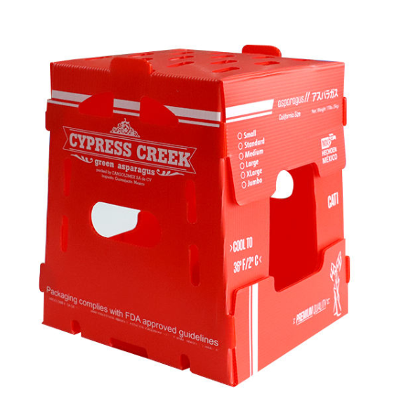 Vegetable Packaging Box4