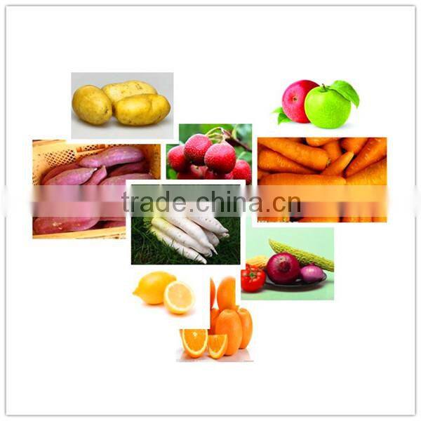 Potato Cassava Carrot Washing Peeling Machine