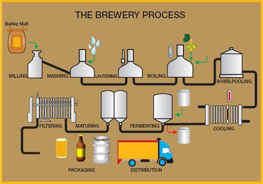 How long does it take to brew one batch of beer?
