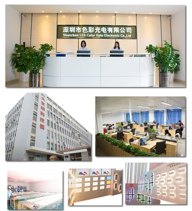 Shenzhen Led Color Co., Ltd company overview - view 1