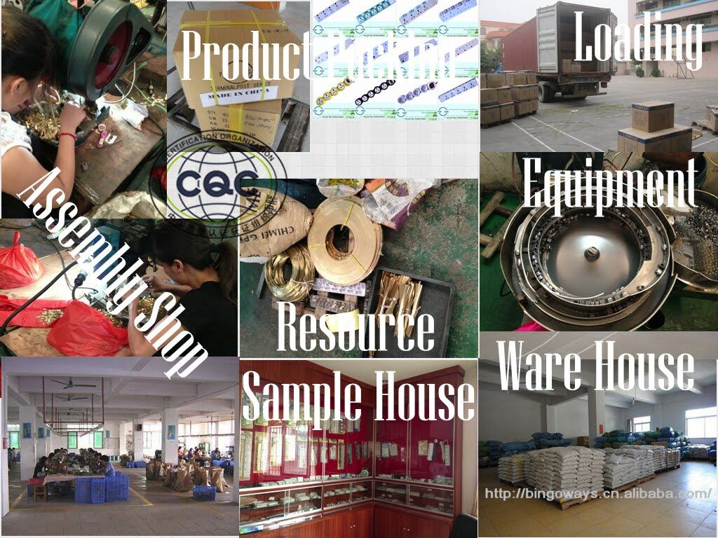 Foshan Nanhai Xiqiao PINGAO Electric Appliance Hardware Factory company overview - view 4