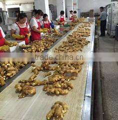 Qingdao Toboli International Trading Co., Ltd. company overview - view 2