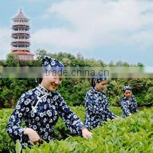 Queentea (Beijing) Co., Ltd. company overview - view 2