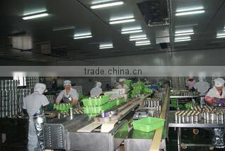 Zhangzhou Lvmei Food Co., Ltd. company overview - view 2