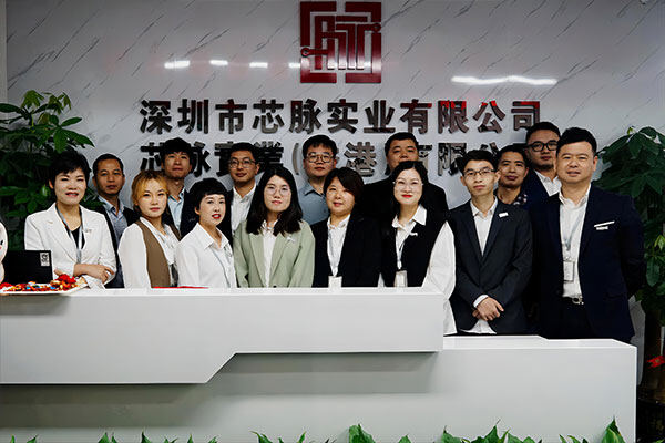 Chips Pulse Industry Limited company overview - view 1