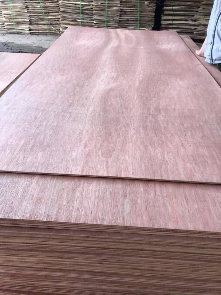 332985652_1474006206339925_3020831442904579111_n