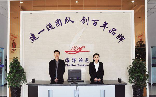 The Sea Feather Limited Company Of Luan company overview - view 3