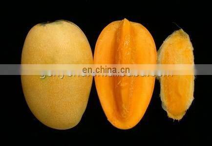 small capacity mango bar making machines full automatic fruit leather processing plant