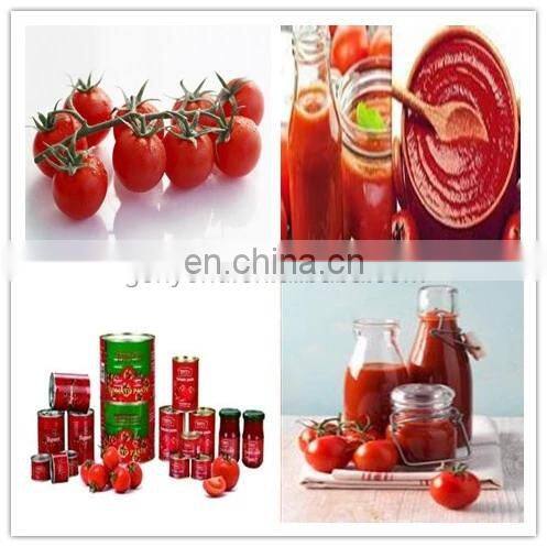complete Concentration strawberry paste making machines