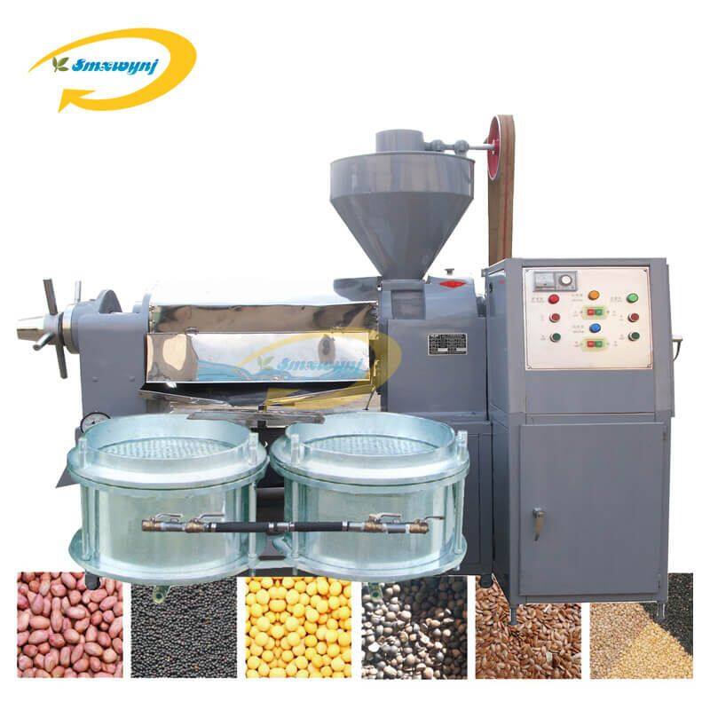 automatic oil press (9)