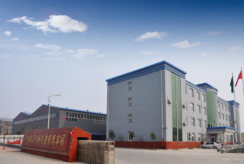 Hebei Double Star Machinery Manufacturing Co.,ltd company overview - view 1