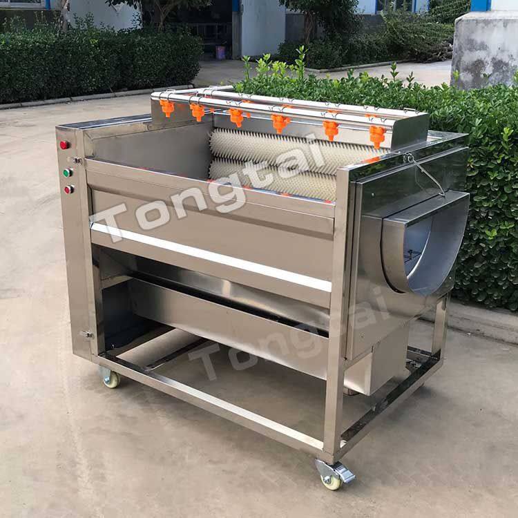小型毛辊清洗机1.jpg
