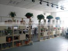 Shenzhen TOLO Leisure Equipment Co., Limited company overview - view 1
