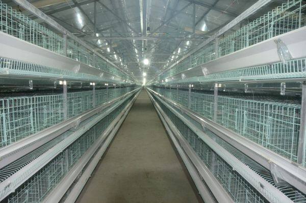 He'nan Zhongzhou Animal Husbandry Breeding Equipment Co., LTD company overview - view 1