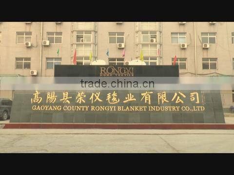 Gaoyang County Rongyi Blanket Industry Co., Ltd. company overview - view 1