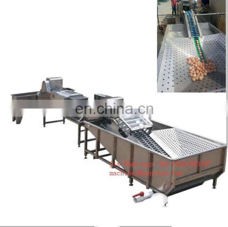full automatic egg cleaning and sorting packing line production line processing line