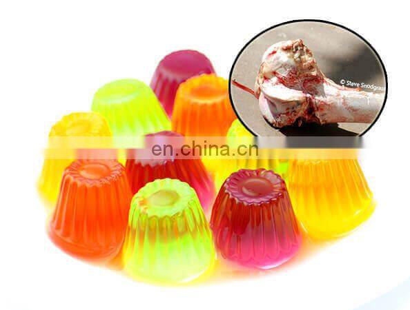 China factory edible gelatin production plant gelatin making machine
