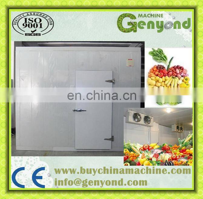 Apple/banana/orange/lemon Cold Storage,Cold Storage Room for sale