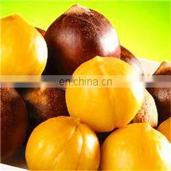 full automatic argania spinosa/argan oil/fat/grease extractor/extracting machines