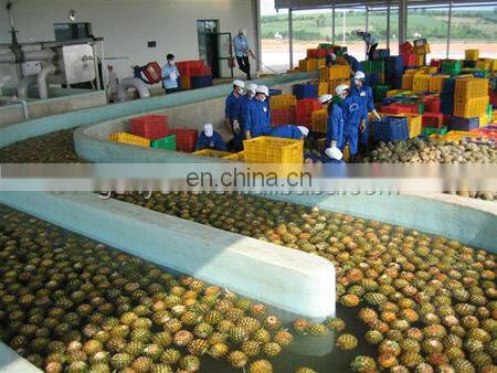 pineapple peeling and core remove machine